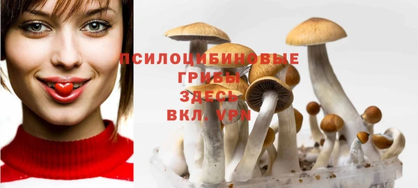молекула духа Алексин