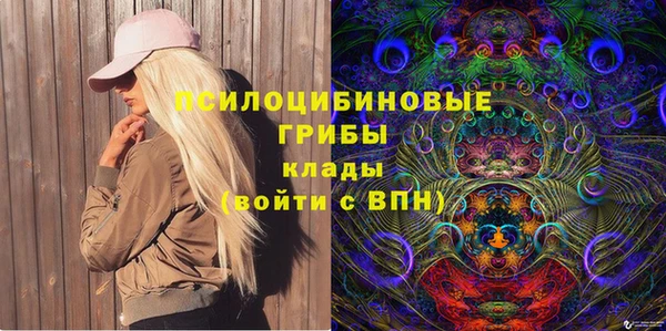 молекула духа Алексин