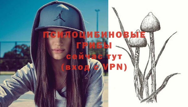 MESCALINE Алексеевка