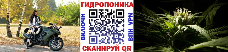 Каннабис семена  Купить где  Горняк 